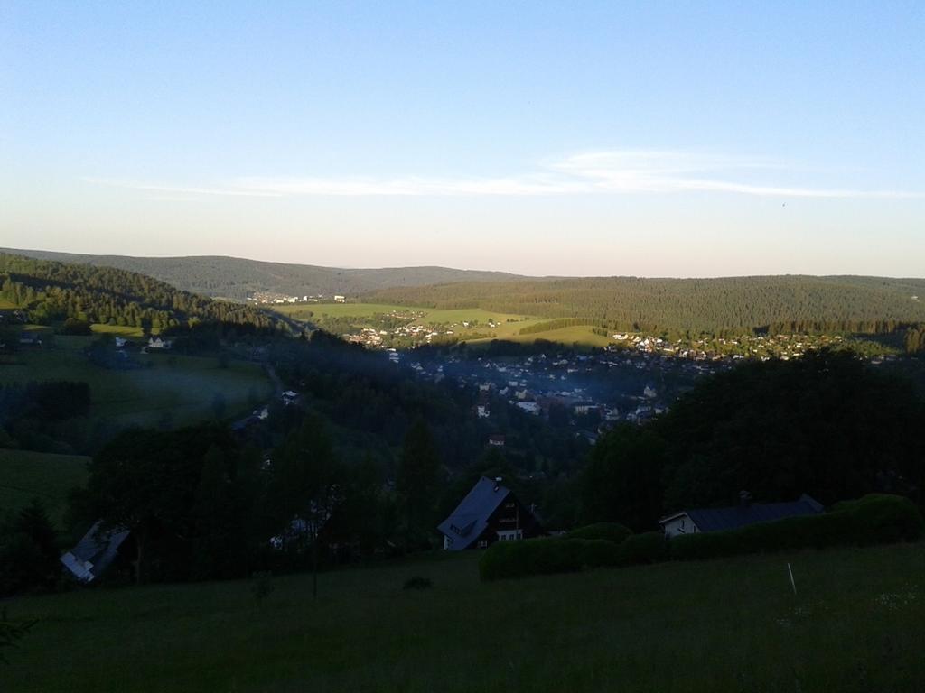 Fewo-Mueller Klingenthal Pokój zdjęcie