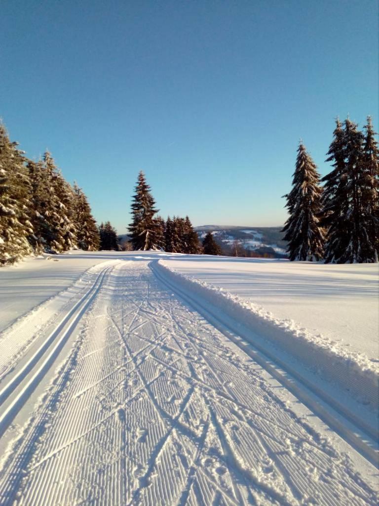 Fewo-Mueller Klingenthal Zewnętrze zdjęcie